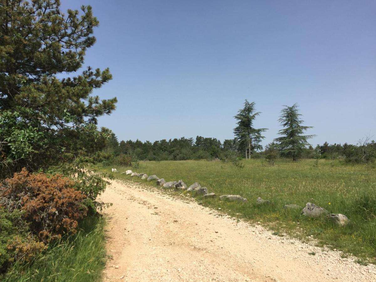 Les Hauts De Fixin, 50M2 Avec Exterieur Sur La Route Des Grands Crus, Dijon Sud Exterior foto