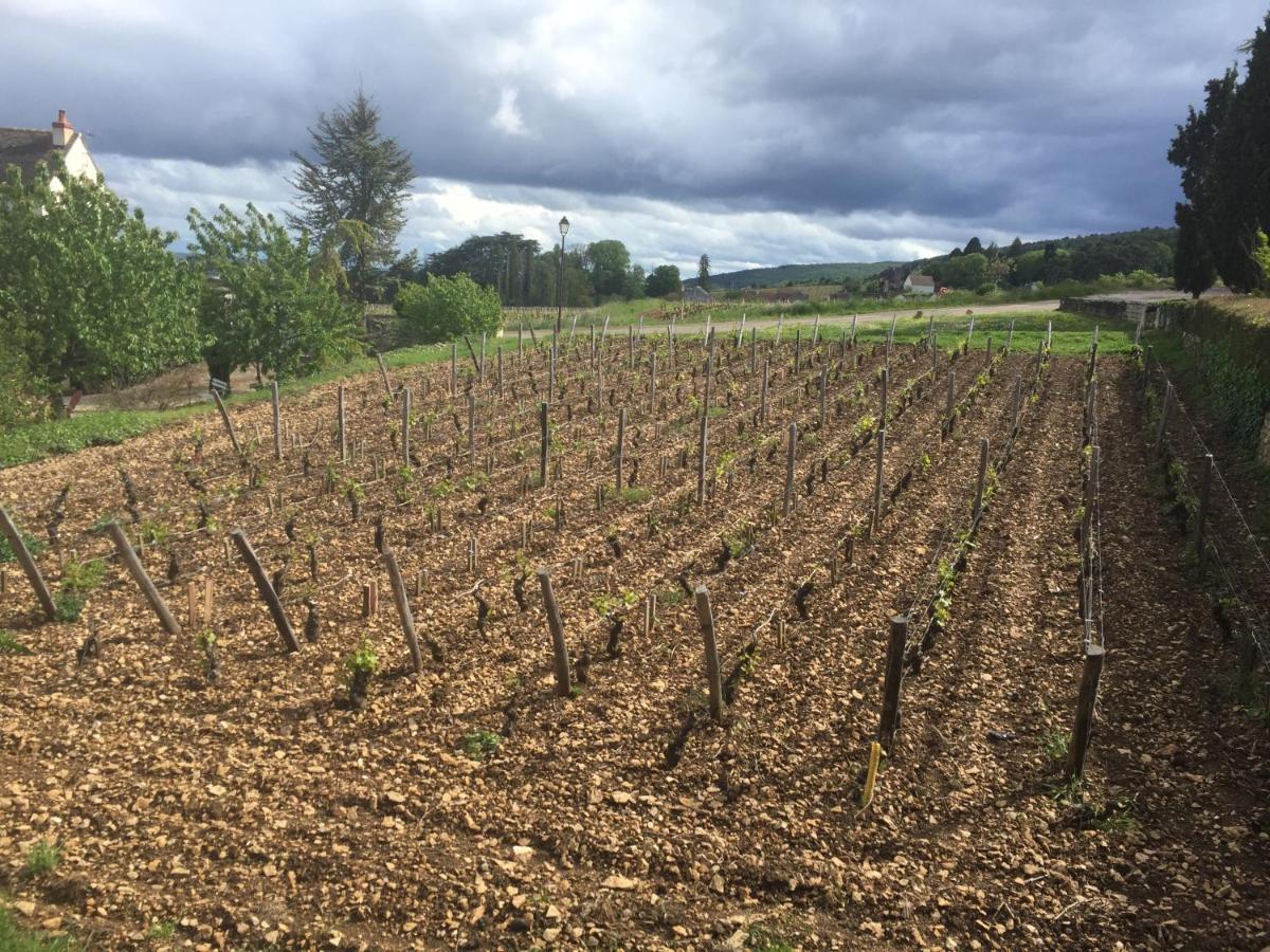 Les Hauts De Fixin, 50M2 Avec Exterieur Sur La Route Des Grands Crus, Dijon Sud Exterior foto